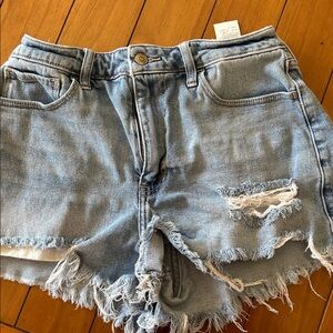 Hollister Light Blue Distressed Denim Jean Shorts